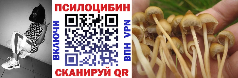 где можно купить наркотик  Усть-Джегута  Псилоцибиновые грибы мухоморы 