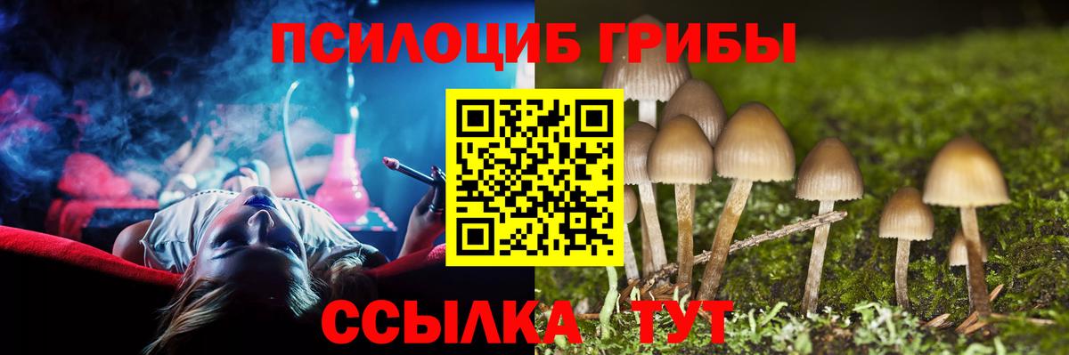 Галлюциногенные грибы мухоморы  Псилоцибиновые грибы мицелий  продажа наркотиков  Вход с VPN  Усть-Джегута 