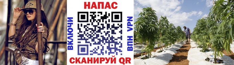 kraken ТОР  Усть-Джегута  Каннабис ГИДРОПОН 